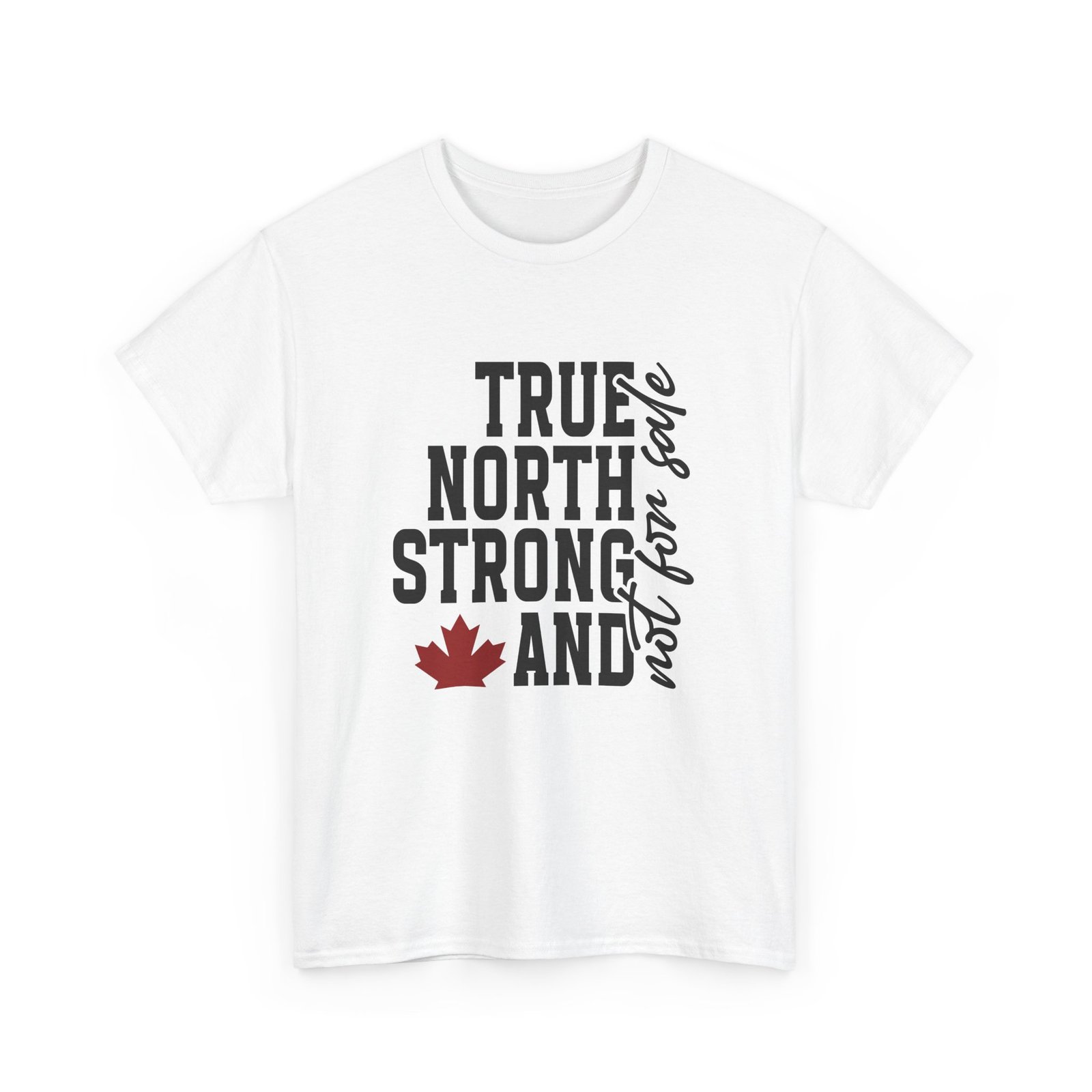 True North Not For Sale - Clean Protest Tee - Image 2